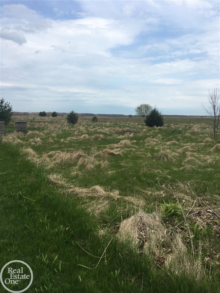 8346 Vincent Road Jeddo, MI 48032 - Photo 36 of 45 31379116-35.JPG