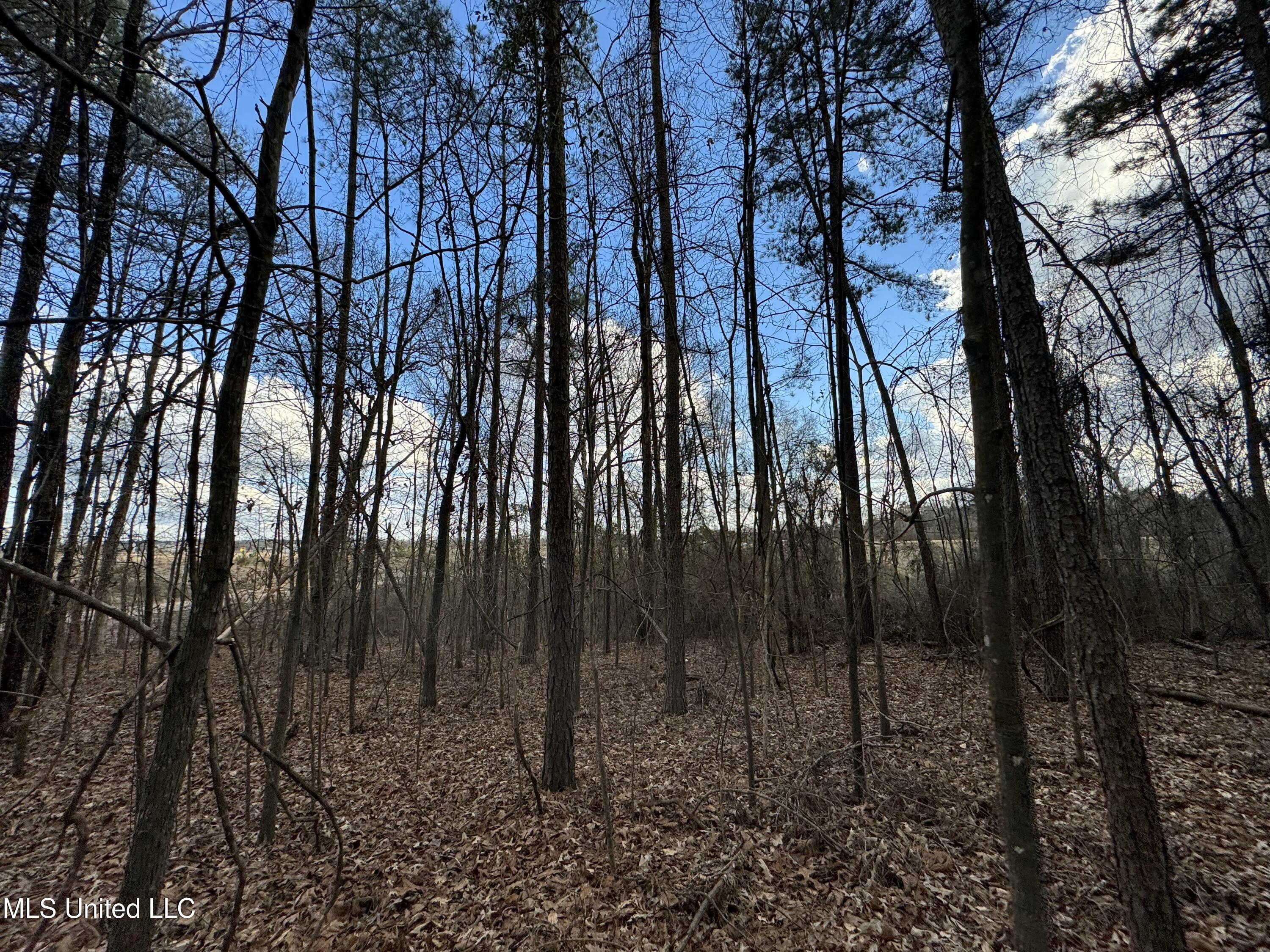 0 North Mission Road Winona, MS 38967 - Photo 11 of 20 IMG_1787