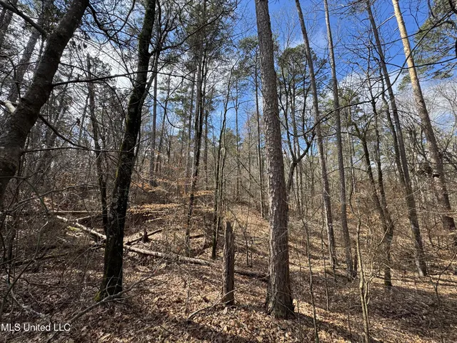 $400,000 | 0 North Mission Road, Winona, MS 38967