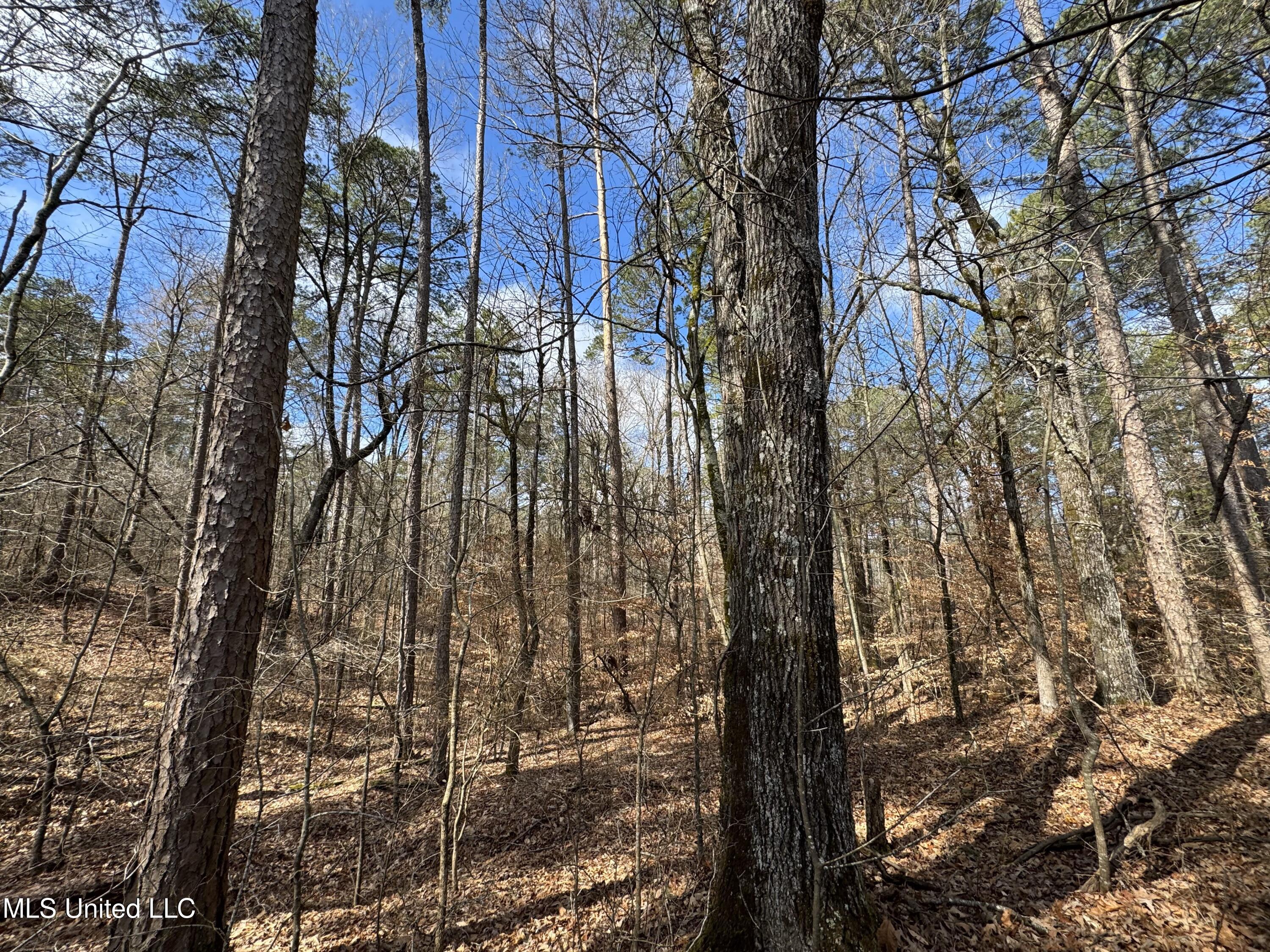 0 North Mission Road Winona, MS 38967 - Photo 14 of 20 IMG_2014