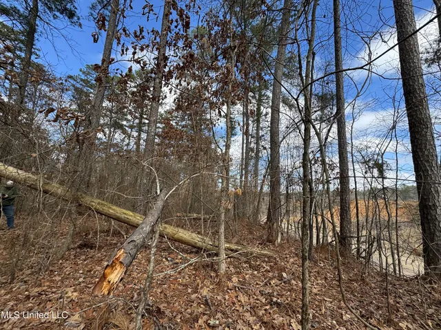 $400,000 | 0 North Mission Road, Winona, MS 38967