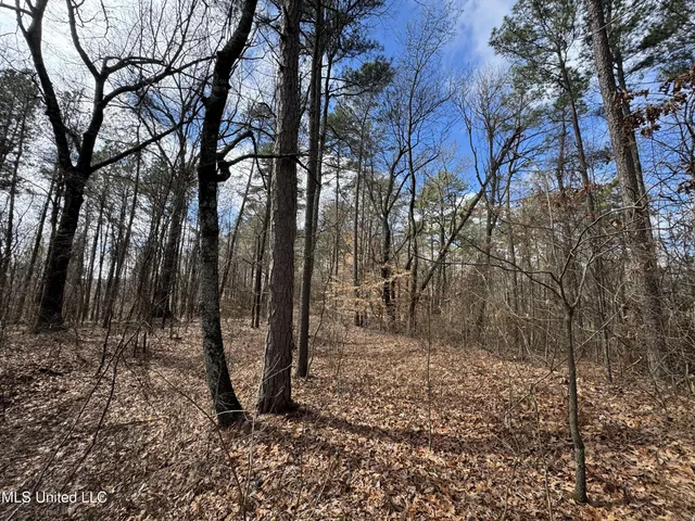 $400,000 | 0 North Mission Road, Winona, MS 38967