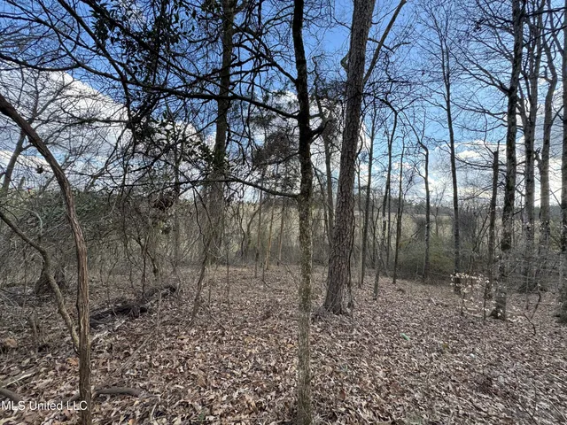 $400,000 | 0 North Mission Road, Winona, MS 38967