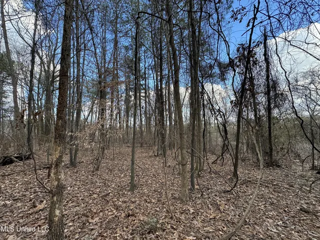 $400,000 | 0 North Mission Road, Winona, MS 38967