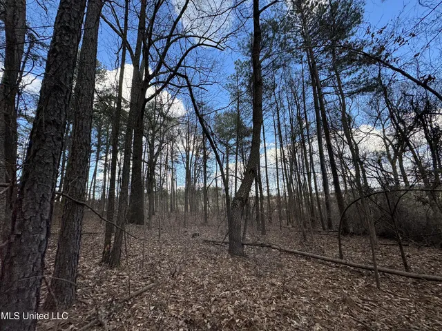 $400,000 | 0 North Mission Road, Winona, MS 38967