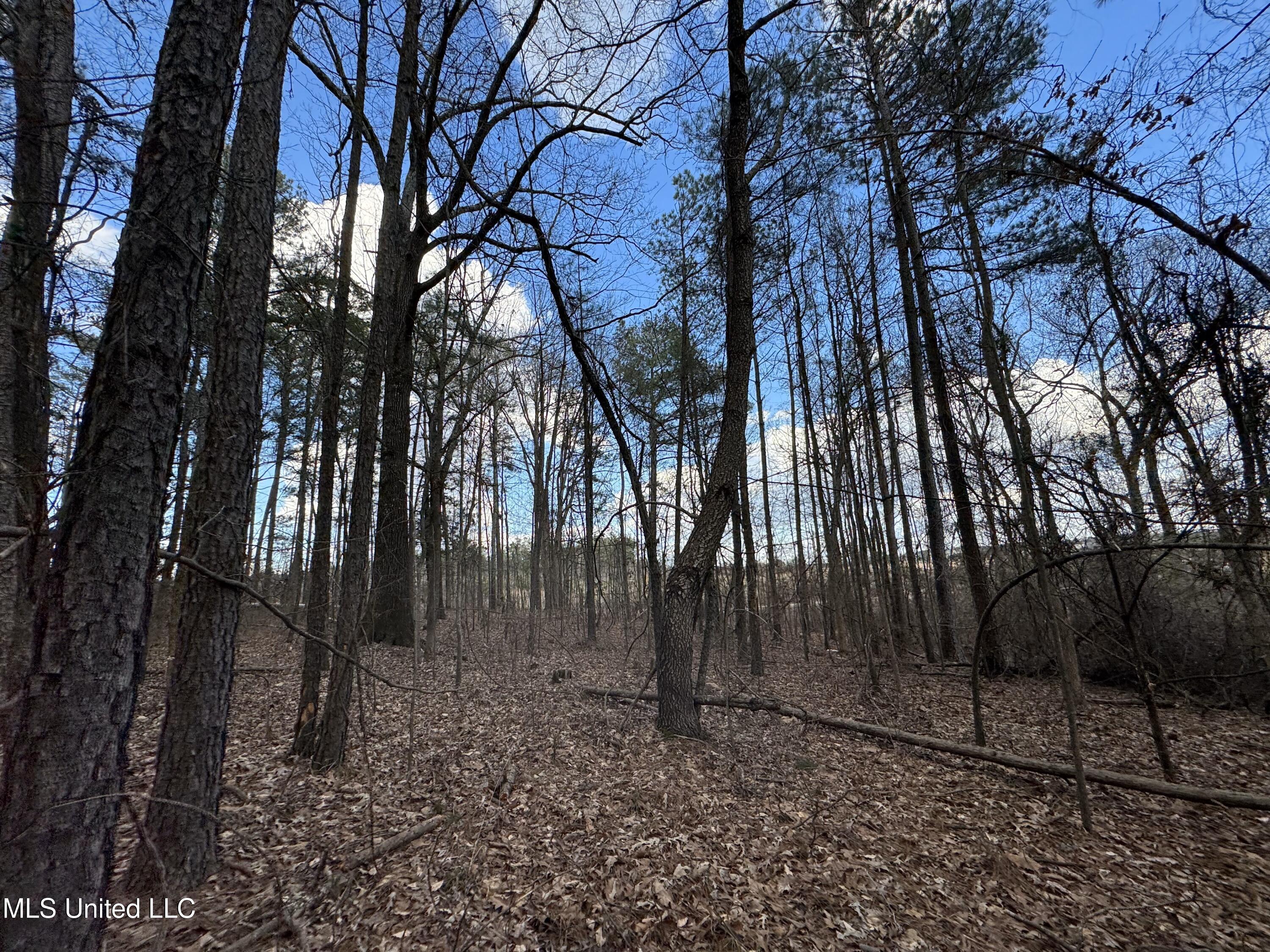 0 North Mission Road Winona, MS 38967 - Photo 7 of 20 IMG_1781