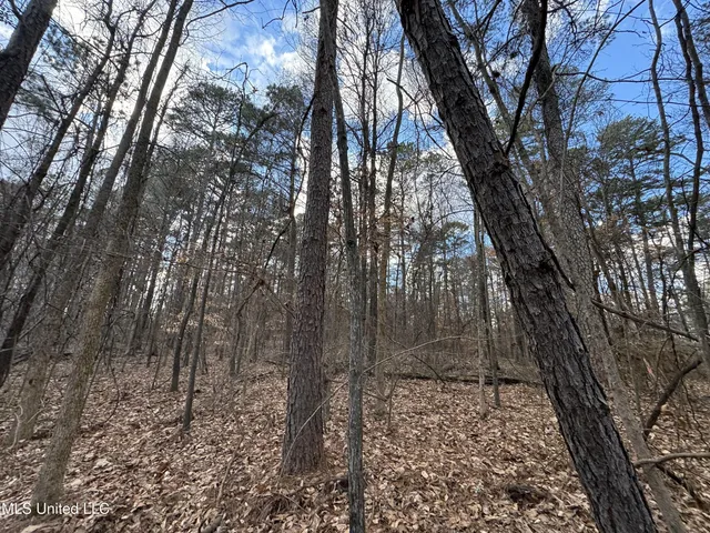 $400,000 | 0 North Mission Road, Winona, MS 38967