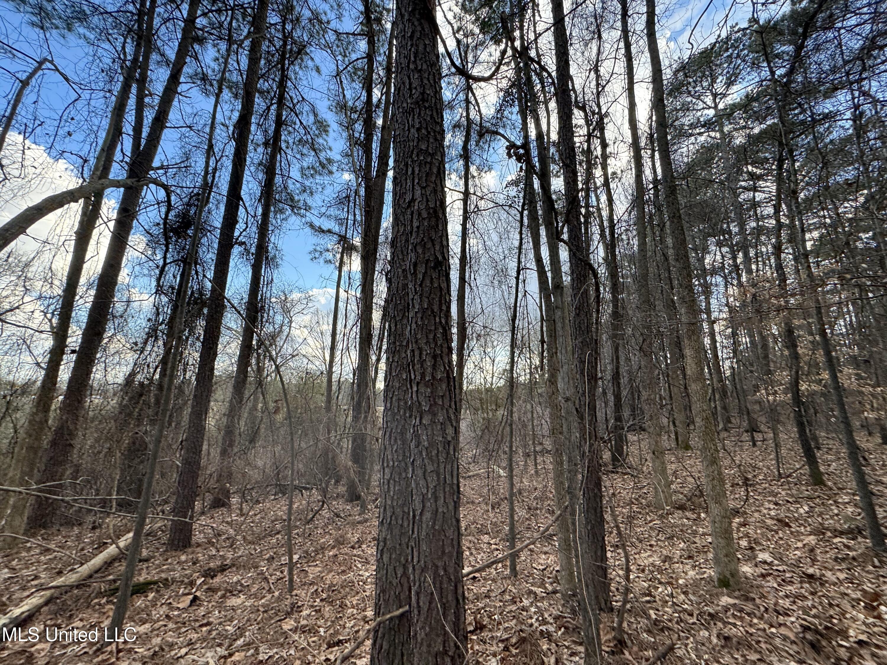 0 North Mission Road Winona, MS 38967 - Photo 9 of 20 IMG_1783