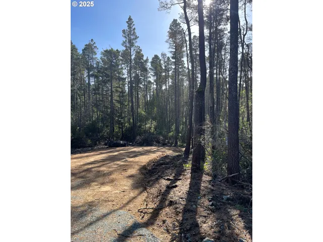 a view of a backyard of the house