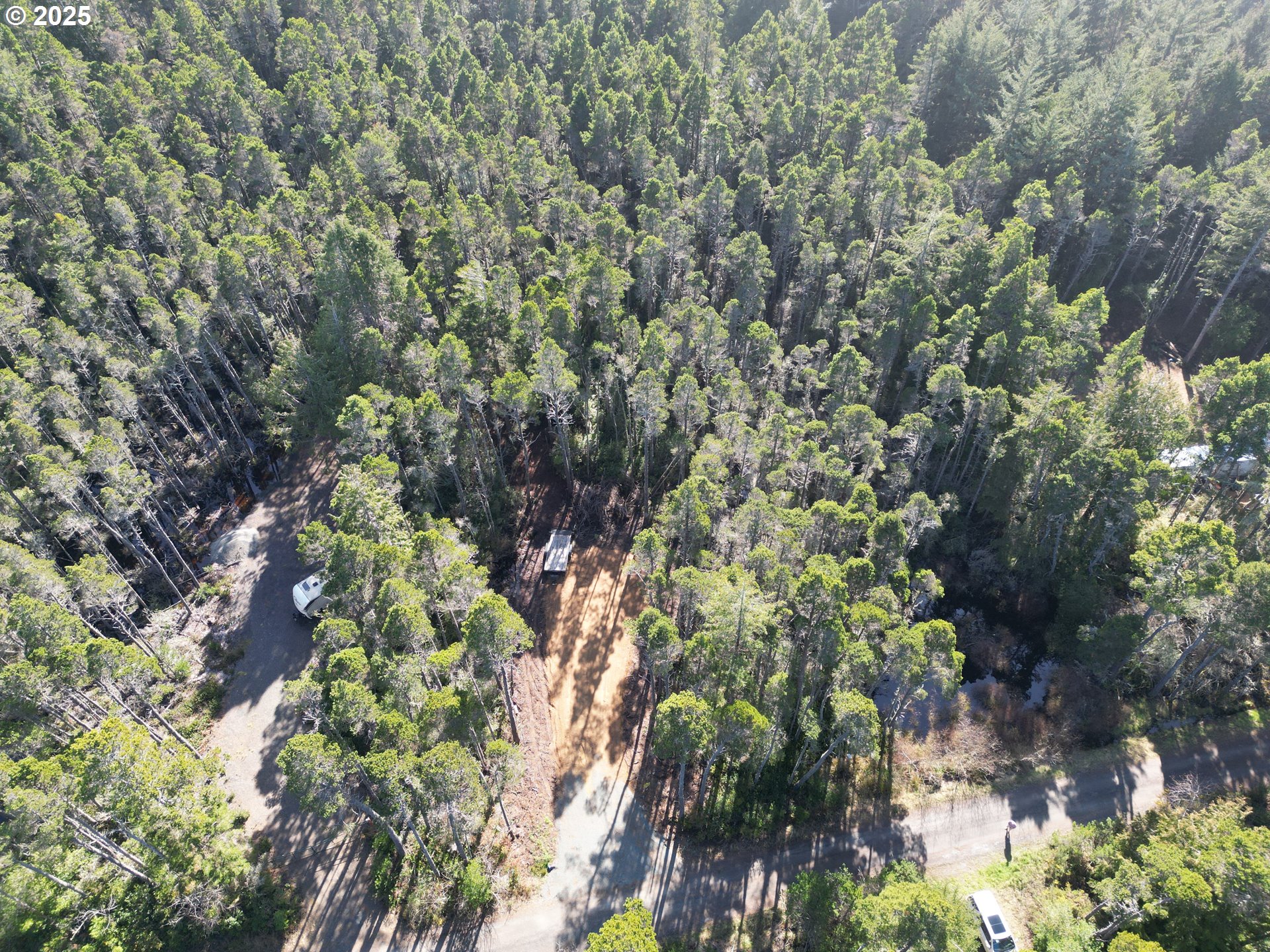 East Jupiter Lane, Unit 1202 Bandon, OR 97411 - Photo 4 of 9 a picture of tree