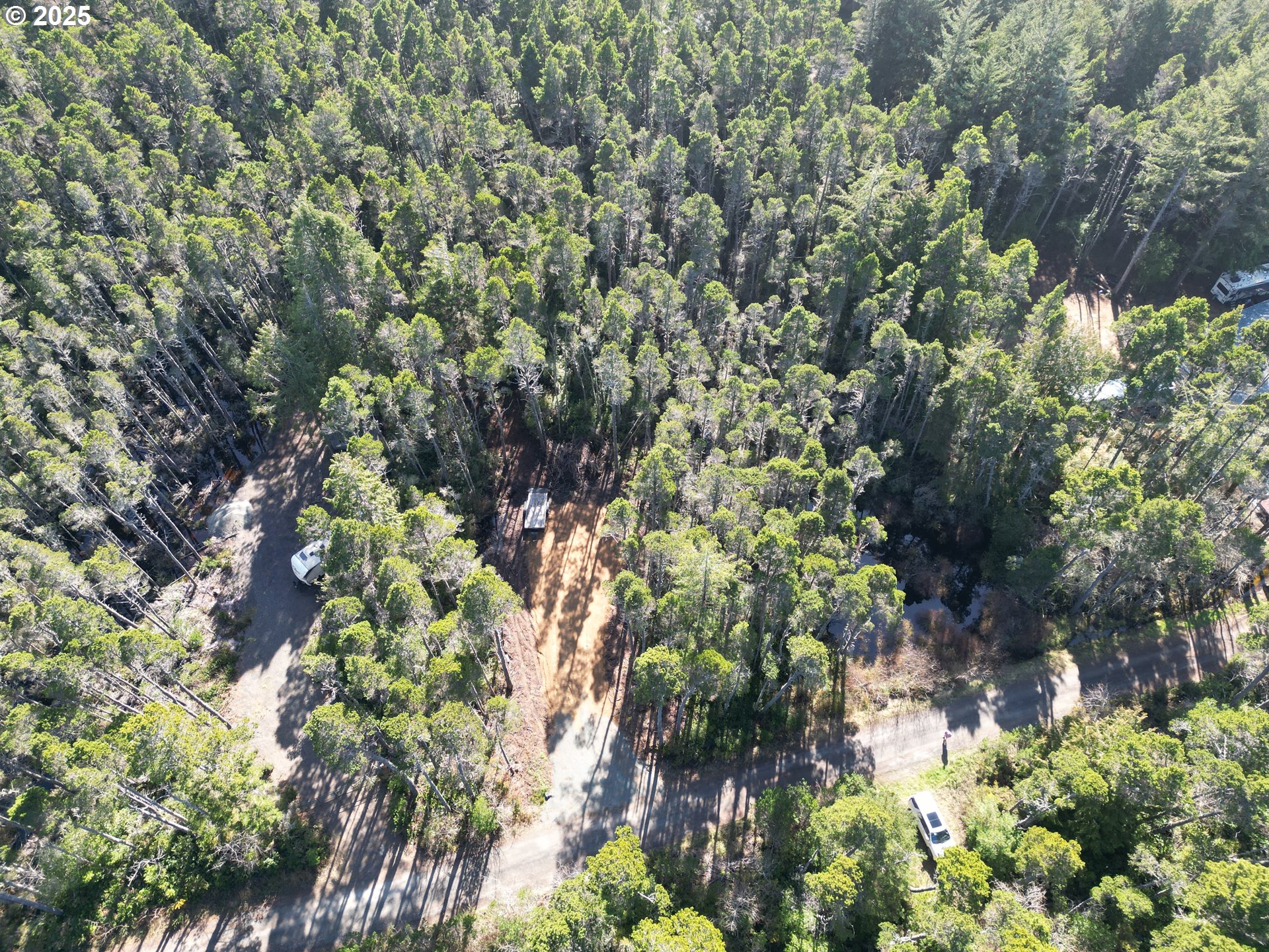 East Jupiter Lane, Unit 1202 Bandon, OR 97411 - Photo 5 of 9 a picture of tree