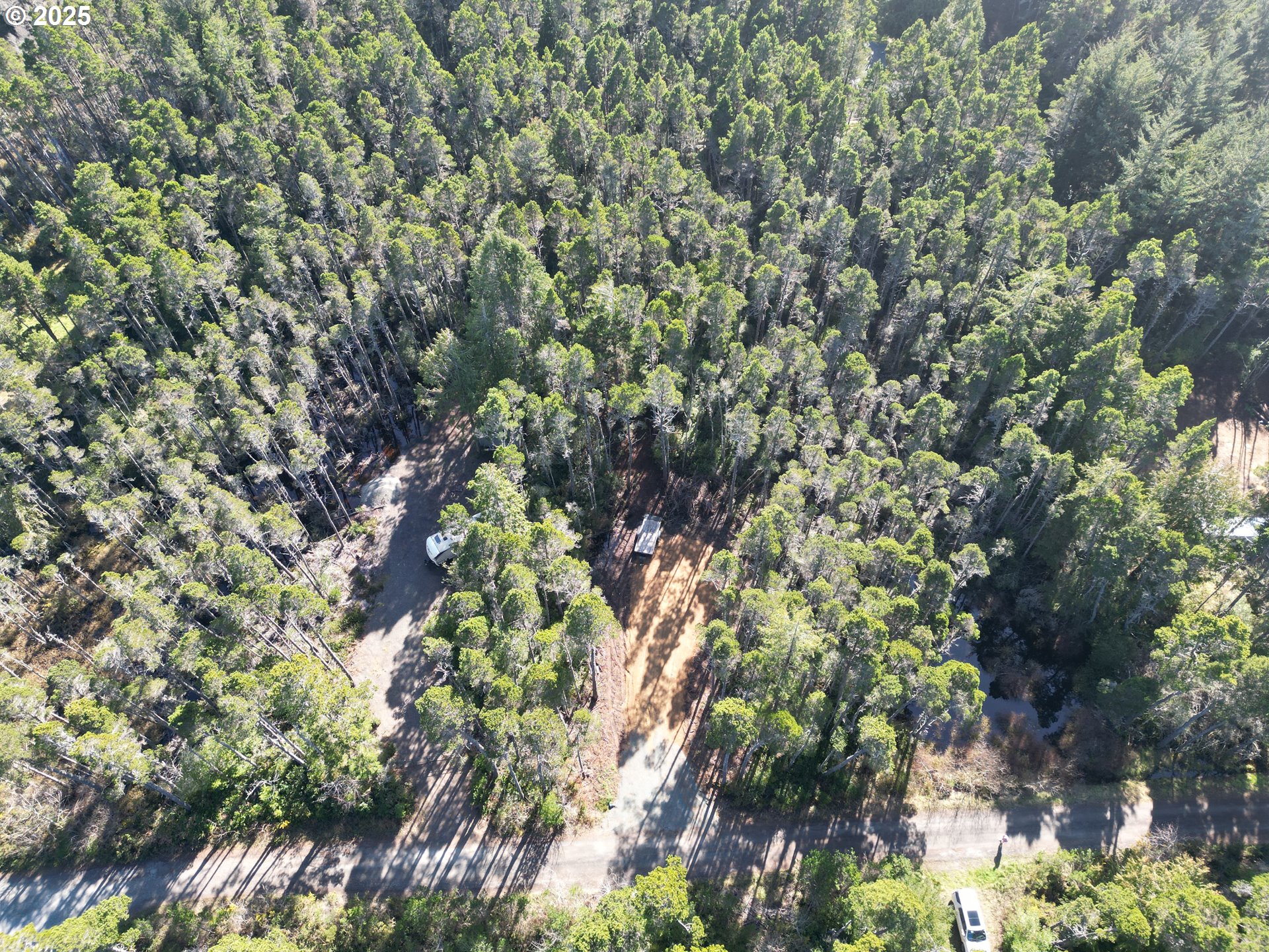 East Jupiter Lane, Unit 1202 Bandon, OR 97411 - Photo 7 of 9 a view of a tree