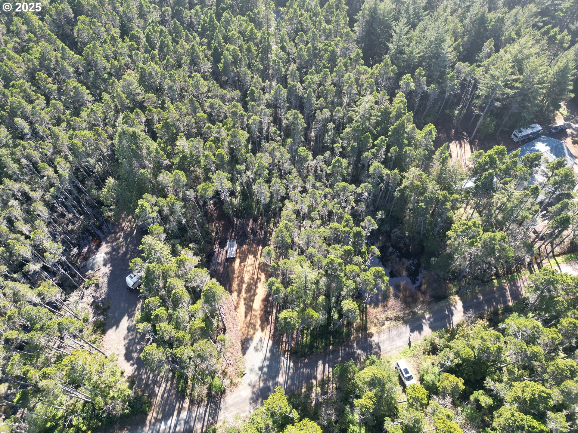 East Jupiter Lane, Unit 1202 Bandon, OR 97411 - Photo 8 of 9 a backyard of a house with lots of green space