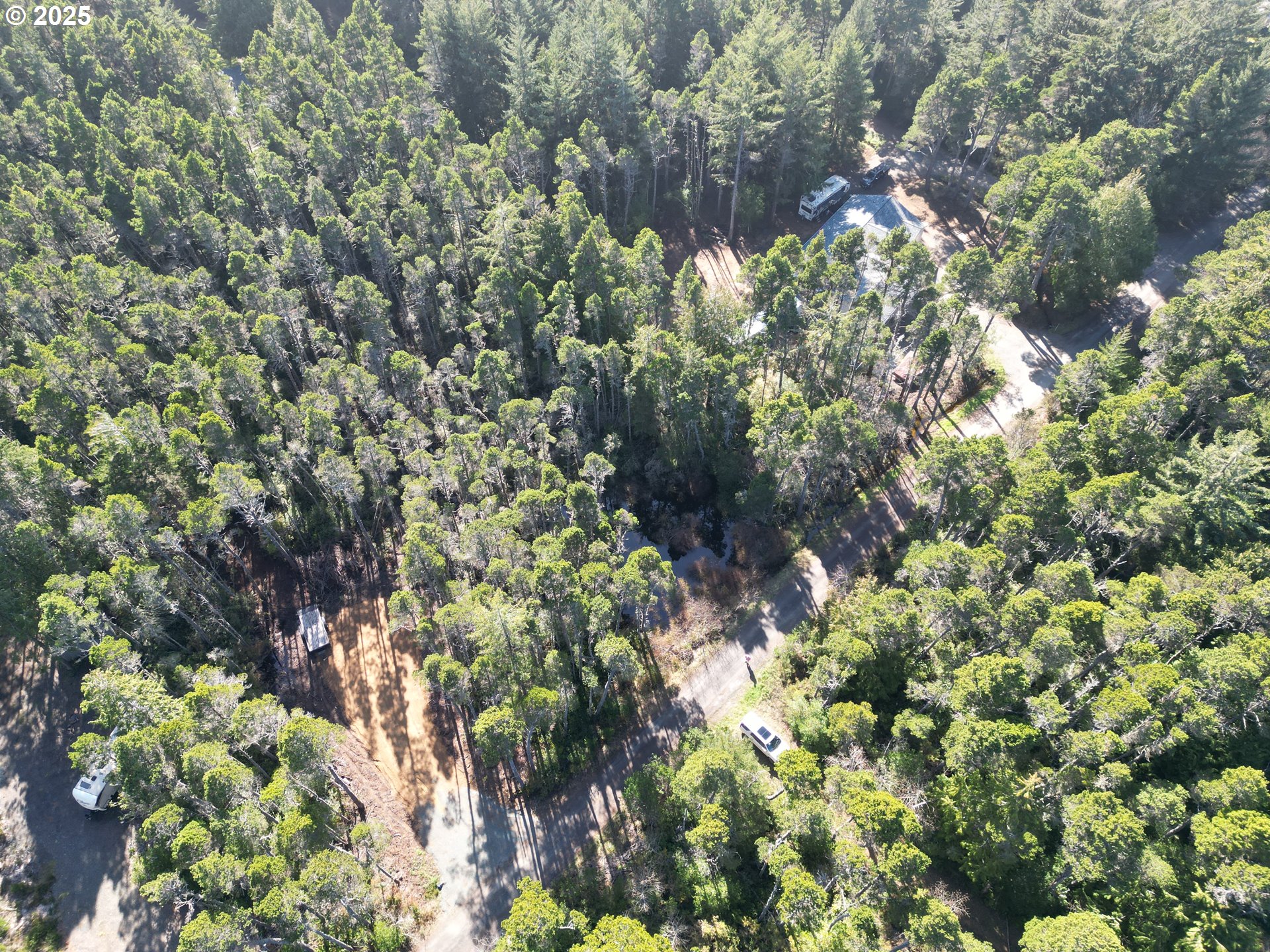 East Jupiter Lane, Unit 1202 Bandon, OR 97411 - Photo 9 of 9 a picture of tree