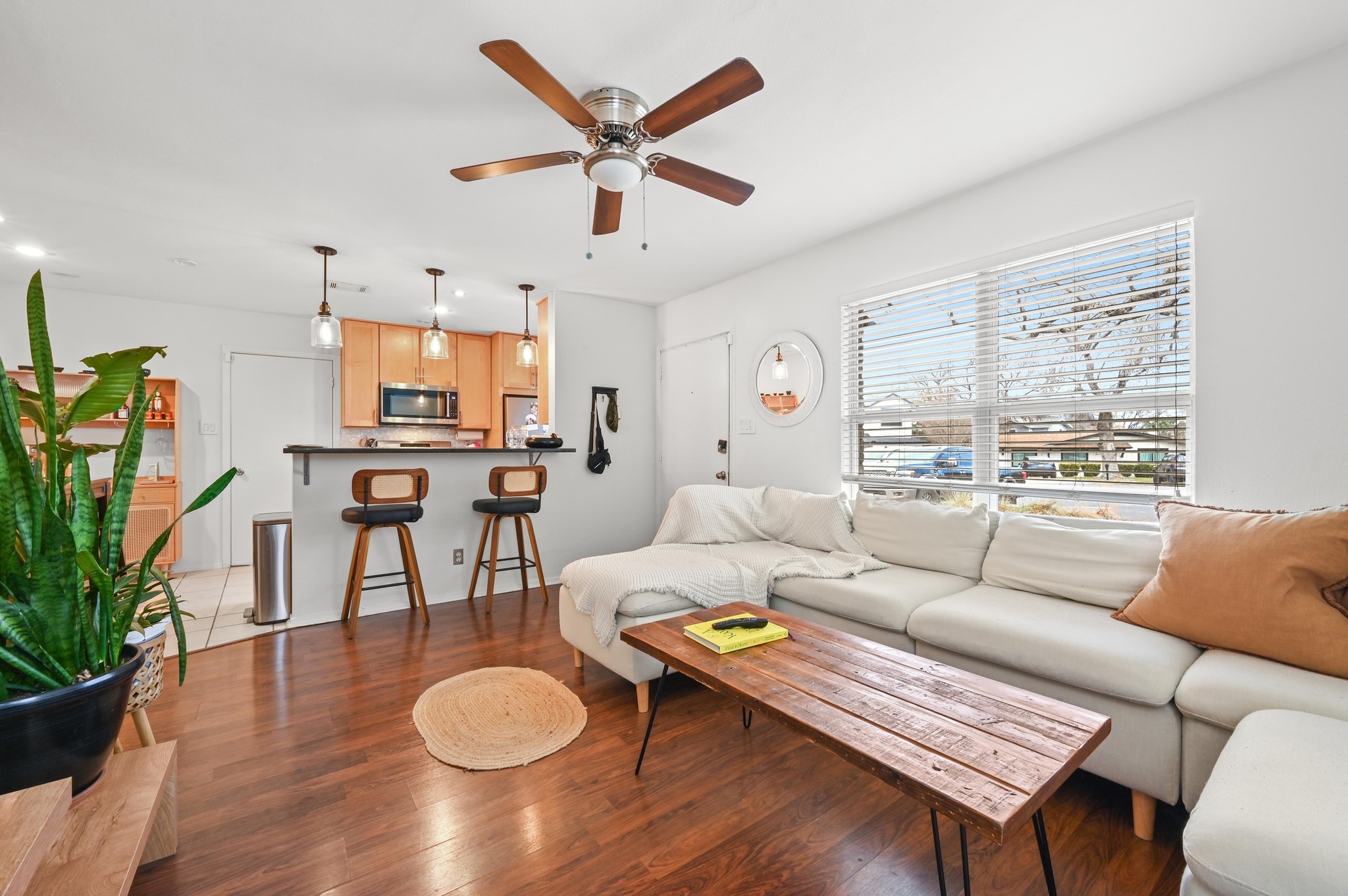 1005 Daphne Court Austin, TX 78704 - Photo 2 of 19 a living room with furniture a rug potted plant and a large window