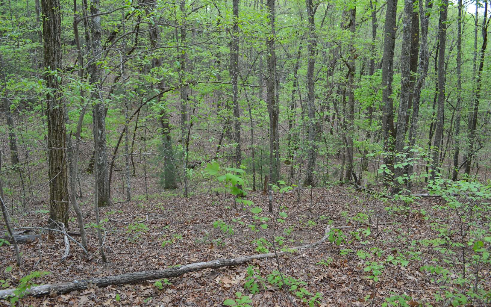 Lot 12 North Ridge Trail Brasstown, NC 28902 - Photo 9 of 11 Additional View