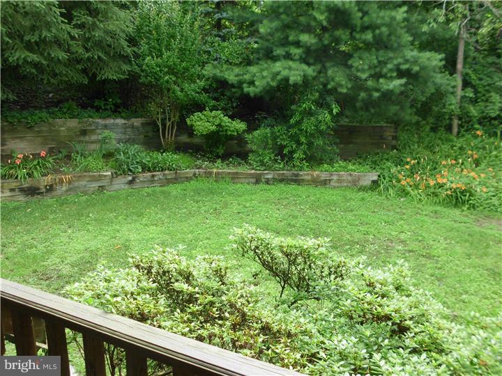 156 Larrison Road Wrightstown, NJ 08562 - Photo 8 of 25 Back Yard