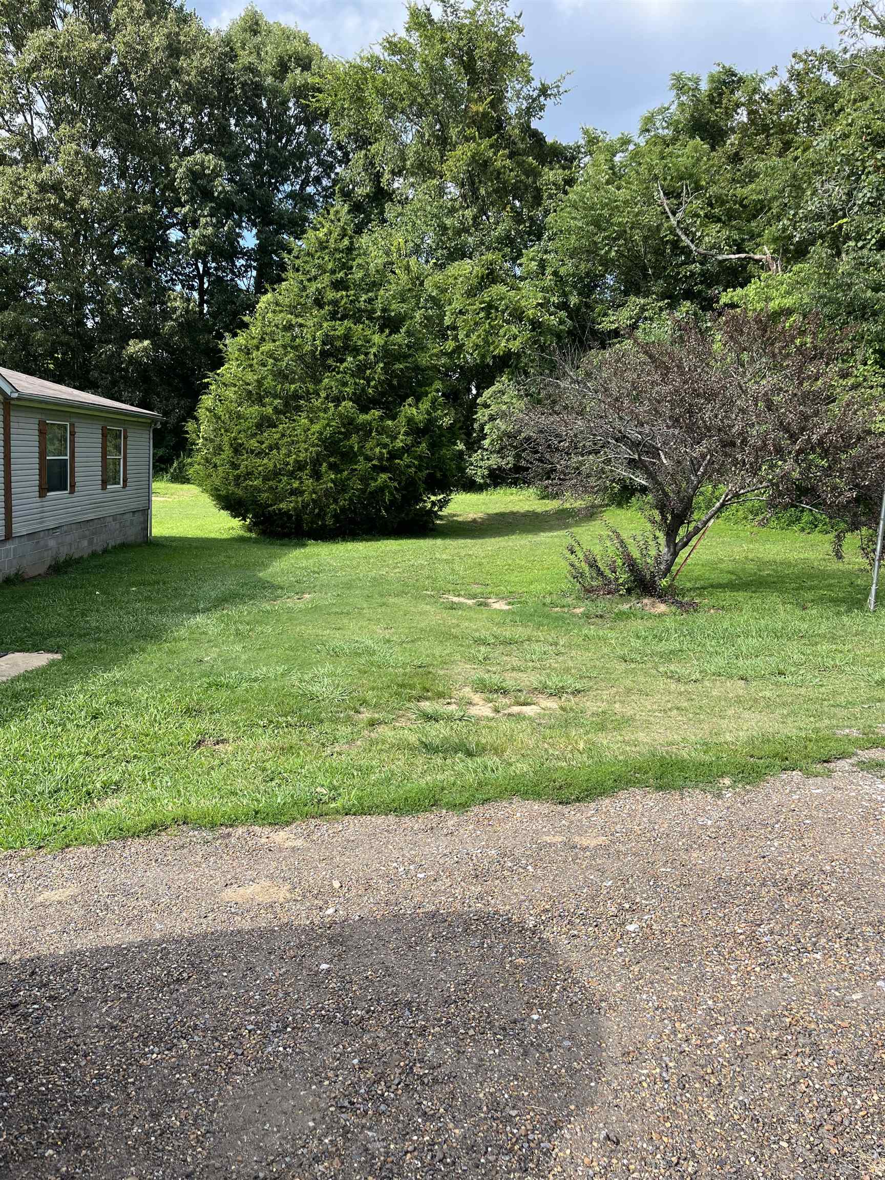 445 Junius Lee Road Ripley, TN 38063 - Photo 3 of 17