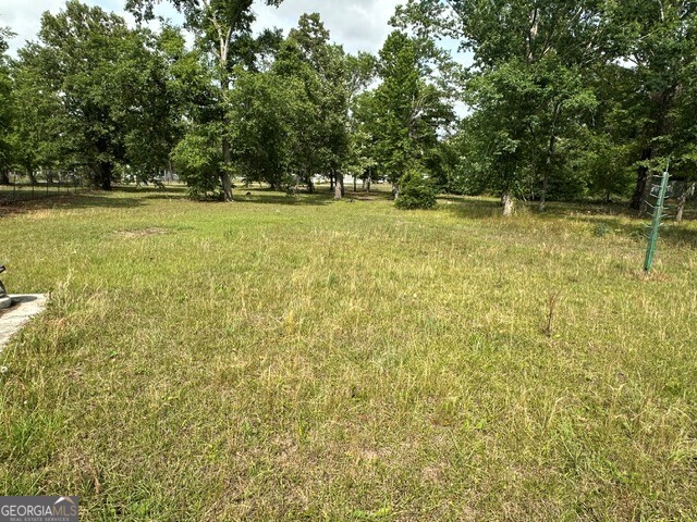 308 Three Rivers Lane Uvalda, GA 30473 - Photo 22 of 28 a view of a yard with a trees