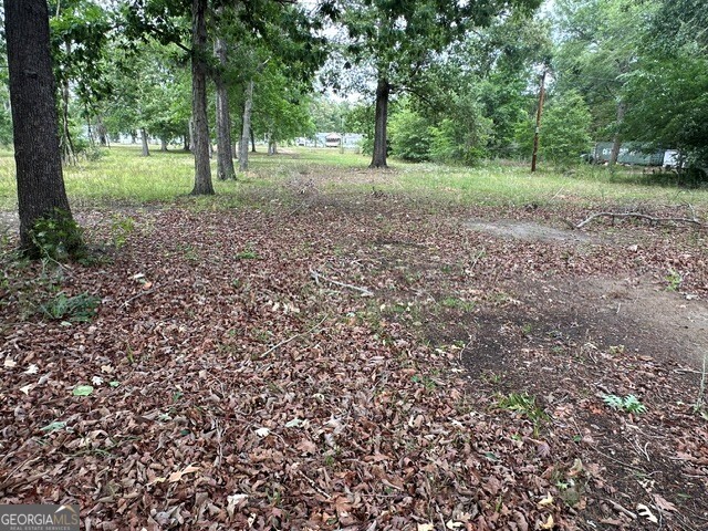 308 Three Rivers Lane Uvalda, GA 30473 - Photo 25 of 28 a view of a forest with trees