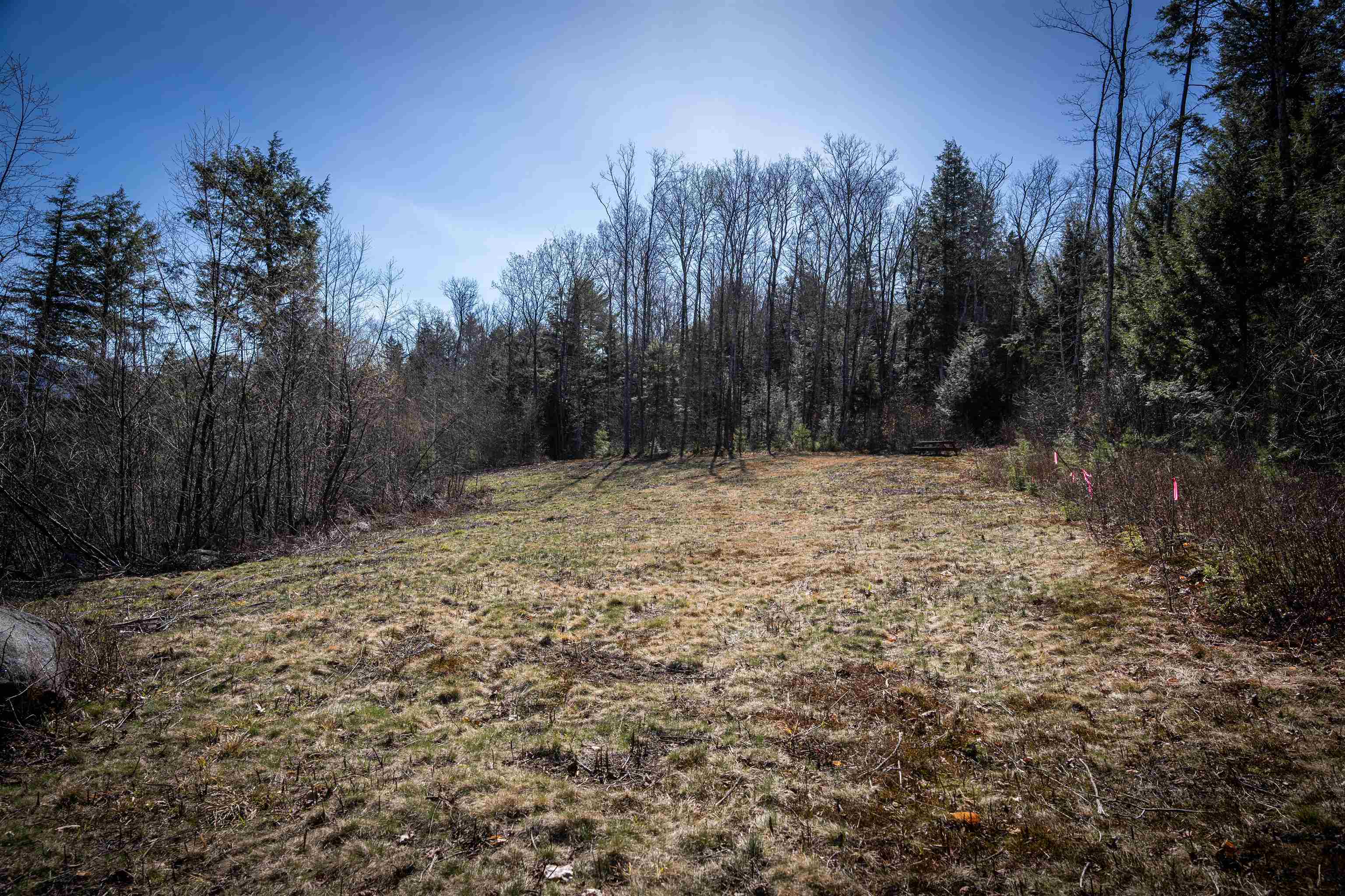 Lot 1 North Dorchester Road Wentworth, NH 03282 - Photo 20 of 34