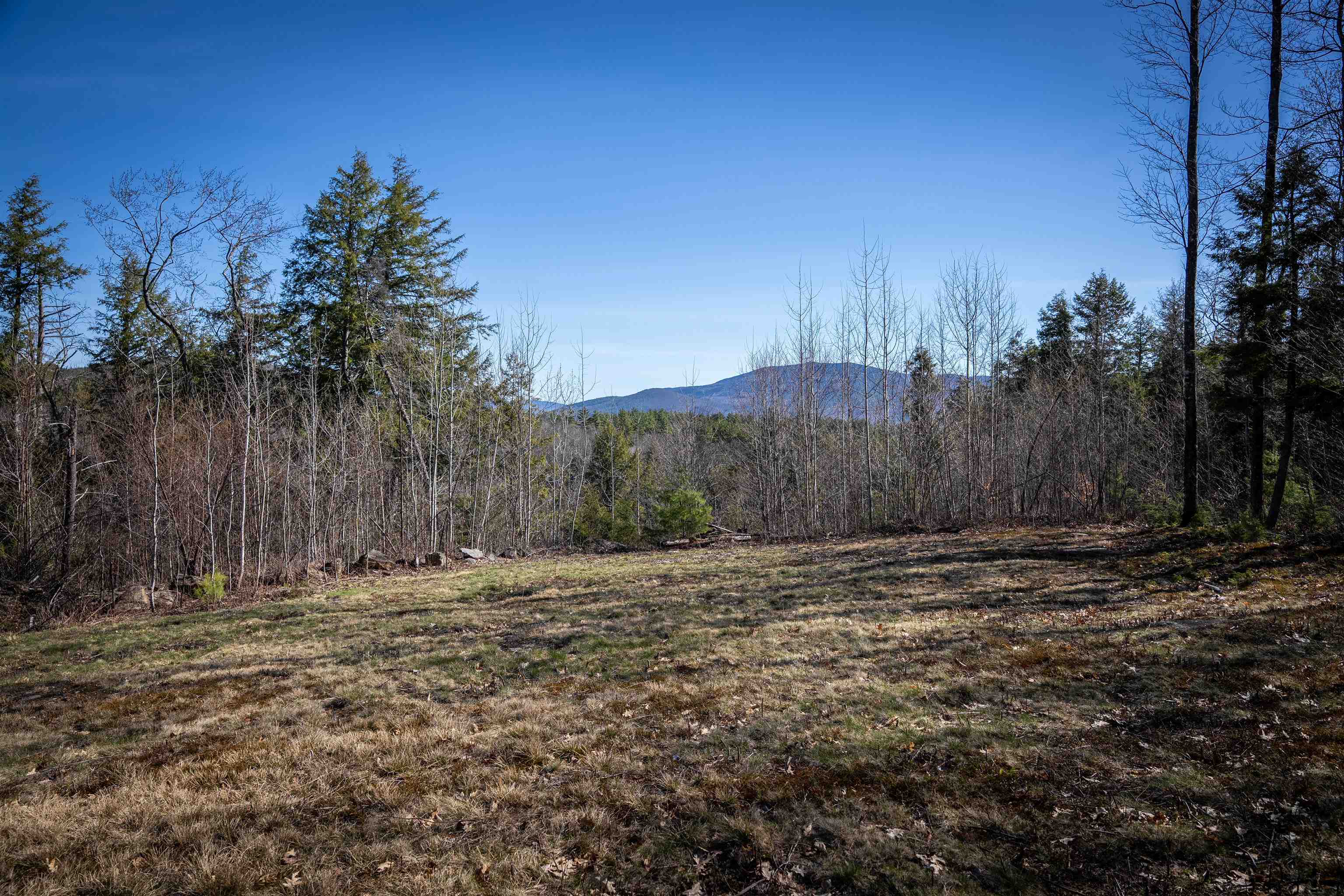 Lot 1 North Dorchester Road Wentworth, NH 03282 - Photo 2 of 34