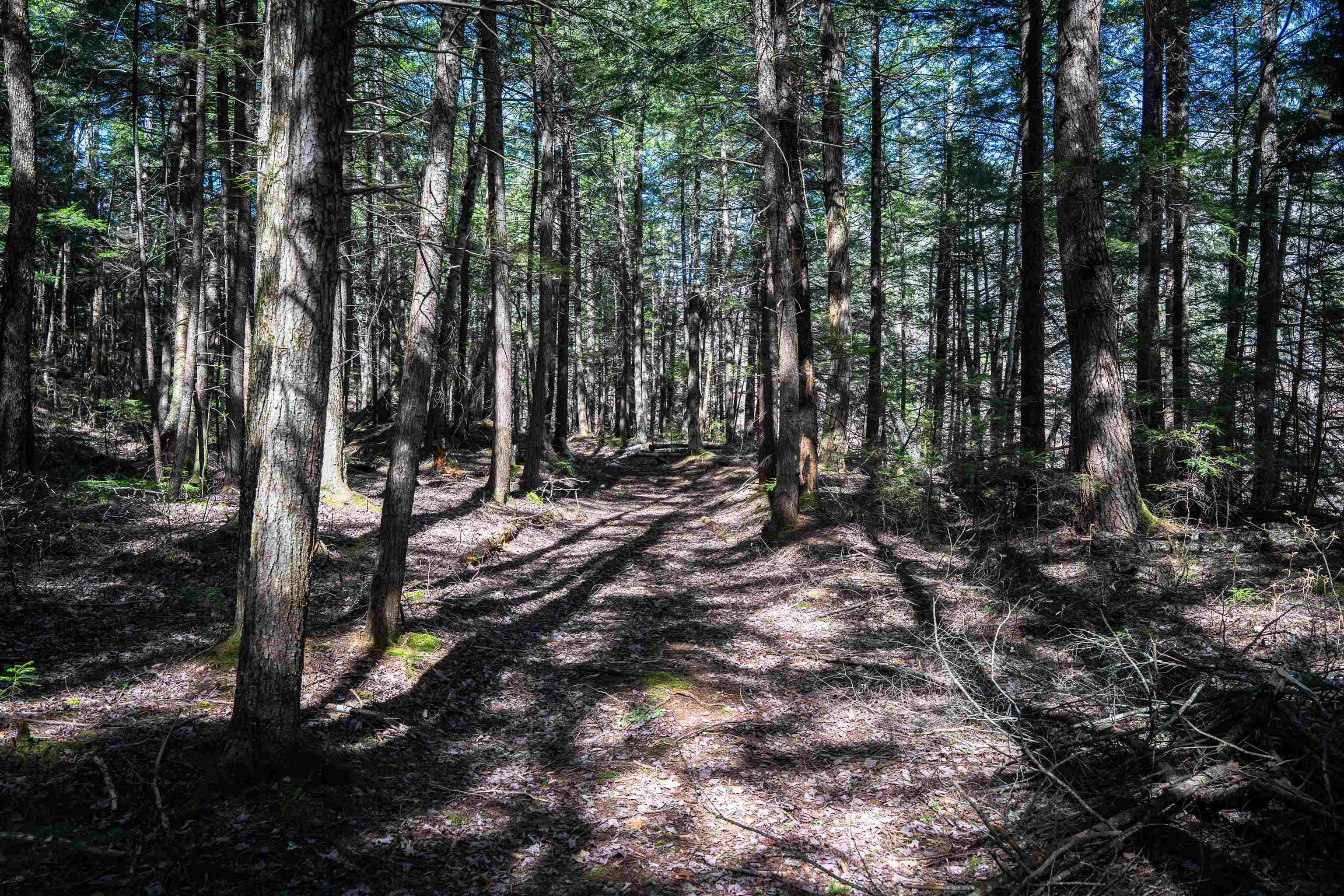 Lot 1 North Dorchester Road Wentworth, NH 03282 - Photo 25 of 34