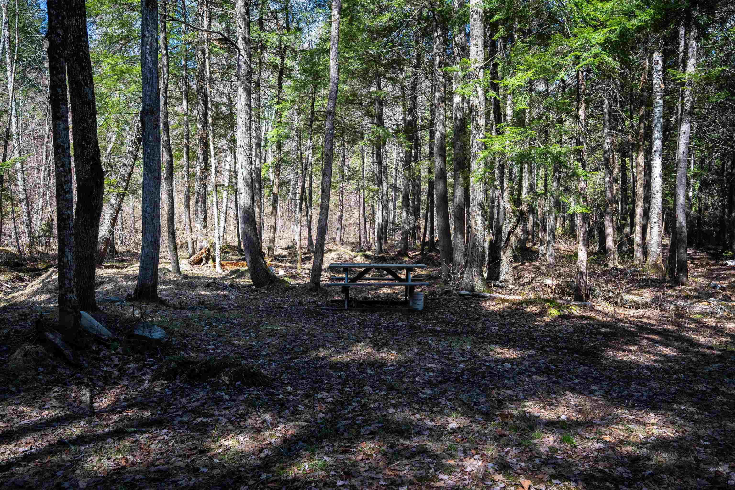 Lot 1 North Dorchester Road Wentworth, NH 03282 - Photo 26 of 34