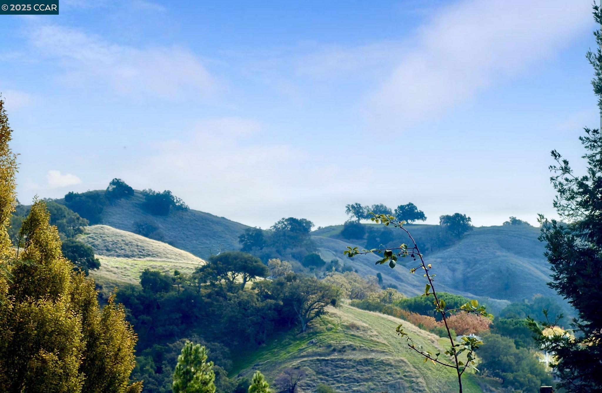 1801 Golden Rain Road, Unit 3 Walnut Creek, CA 94595 - Photo 20 of 40