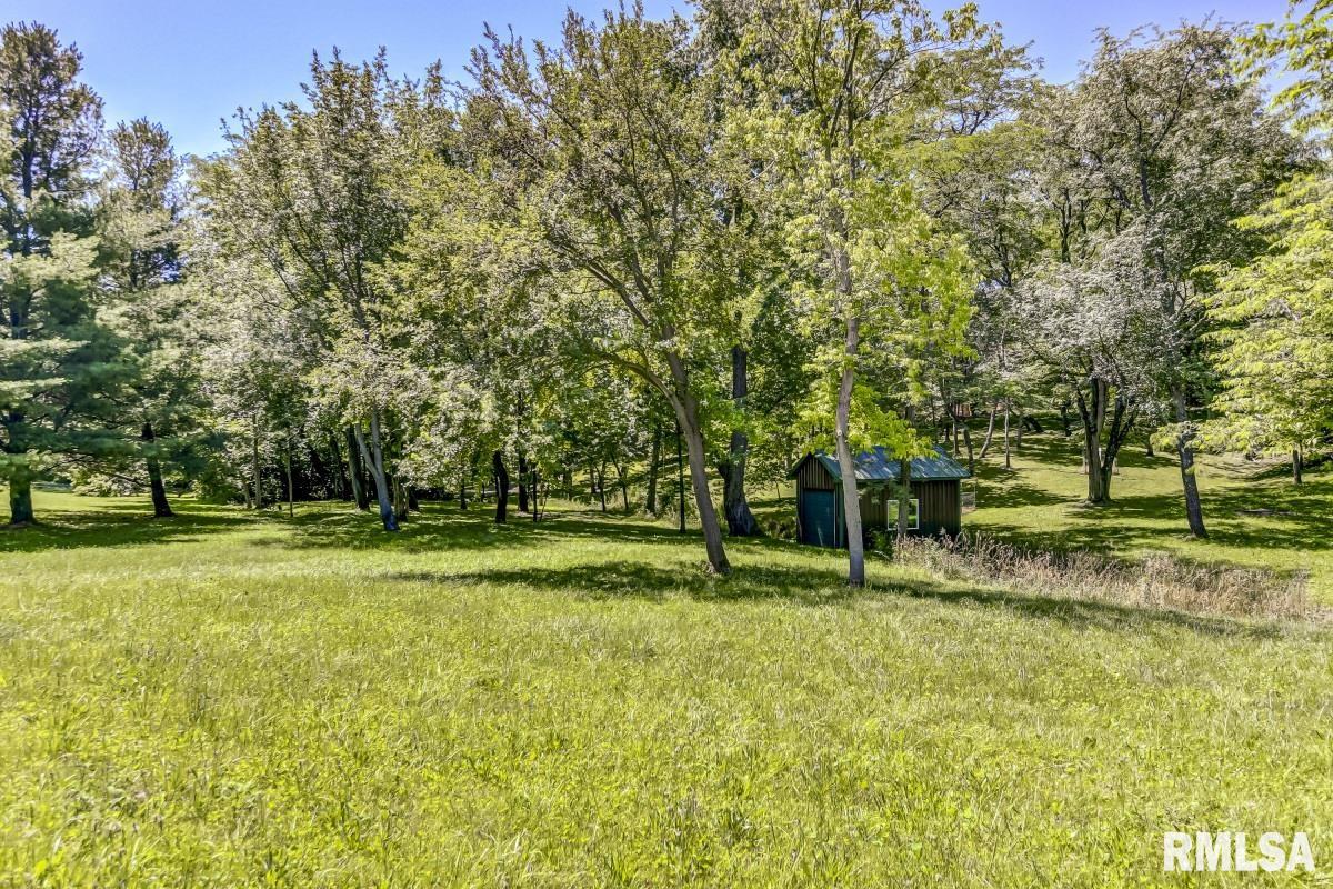 4963 Turkey Run Road Sherman, IL 62684 - Photo 58 of 69 Gallery Image 58