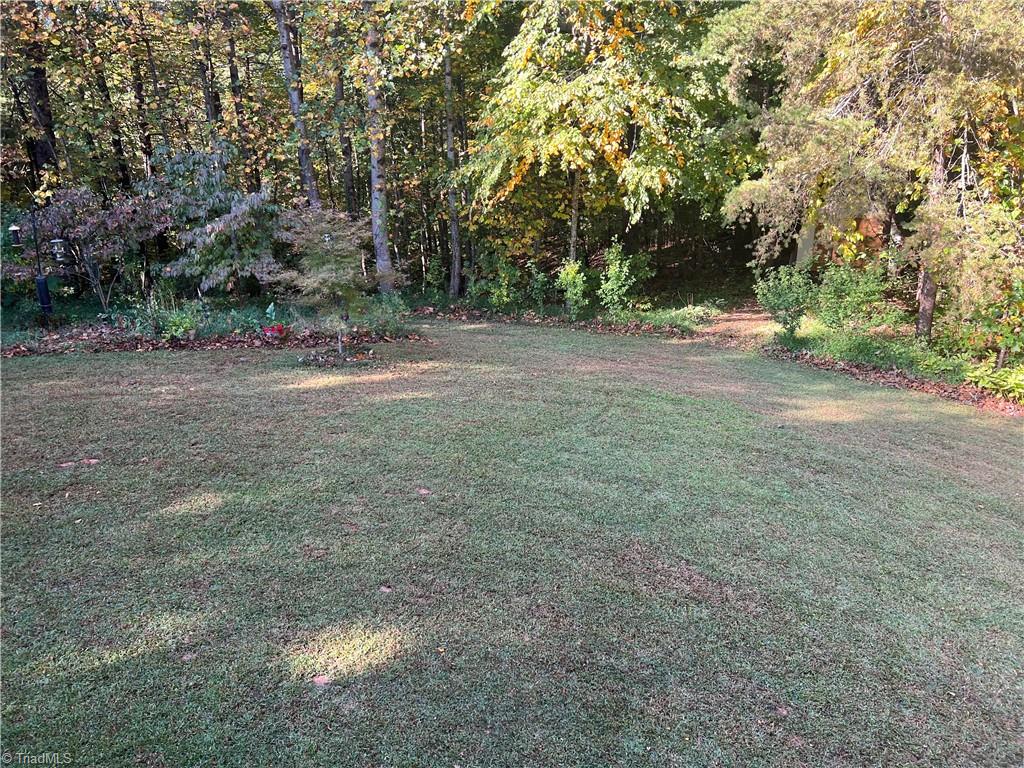 192 New Life Church Road Mount Airy, NC 27030 - Photo 28 of 32