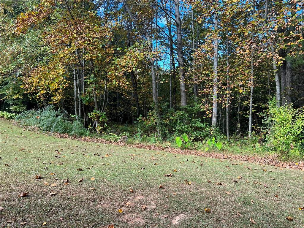 192 New Life Church Road Mount Airy, NC 27030 - Photo 29 of 32