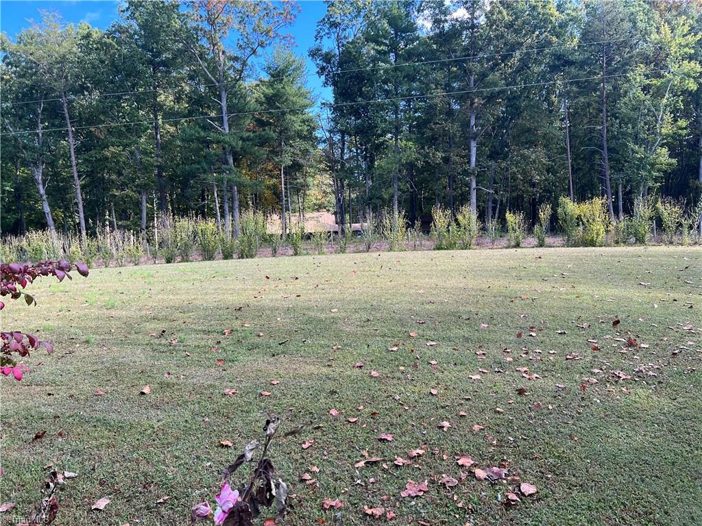 192 New Life Church Road Mount Airy, NC 27030 - Photo 30 of 32