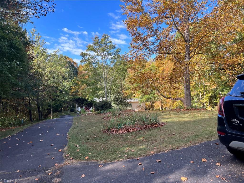 192 New Life Church Road Mount Airy, NC 27030 - Photo 3 of 32