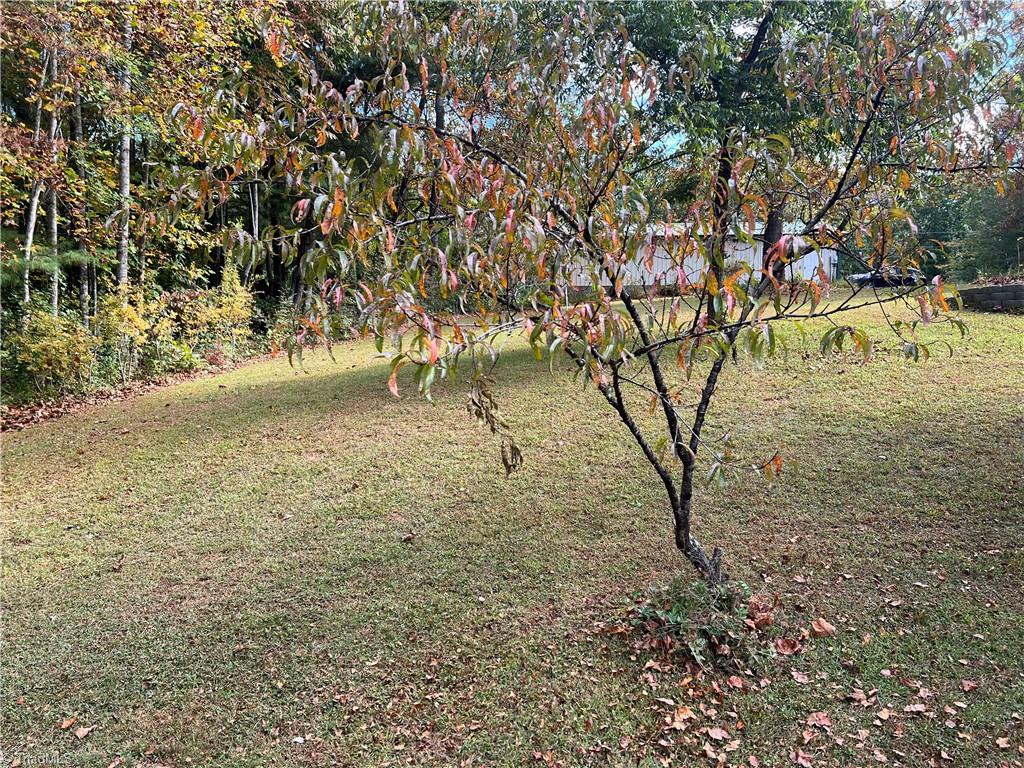 192 New Life Church Road Mount Airy, NC 27030 - Photo 32 of 32