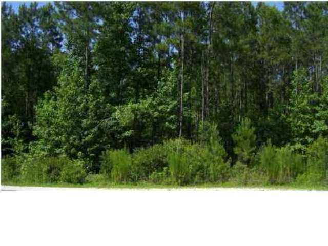 571 Pulis Road Walterboro, SC 29488 - Photo 1 of 3 571 Pulis Road