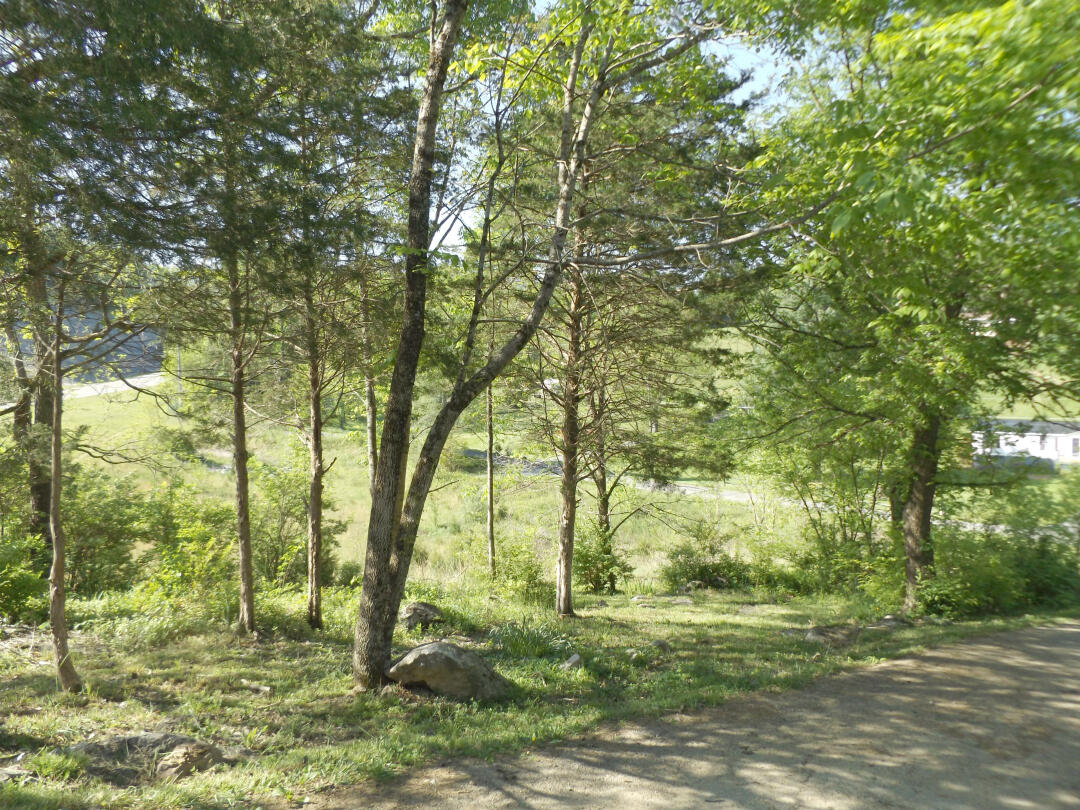 191 Cash Hollow Road Elizabethton, TN 37643 - Photo 19 of 21 DSCF0886999