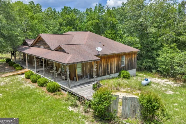 a close up of a plant in a garden