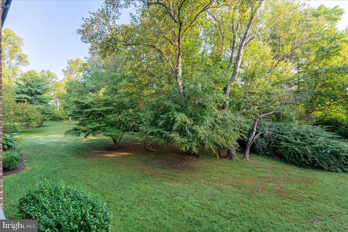 1418 Northgate Square Reston, VA 20190 - Photo 20 of 27