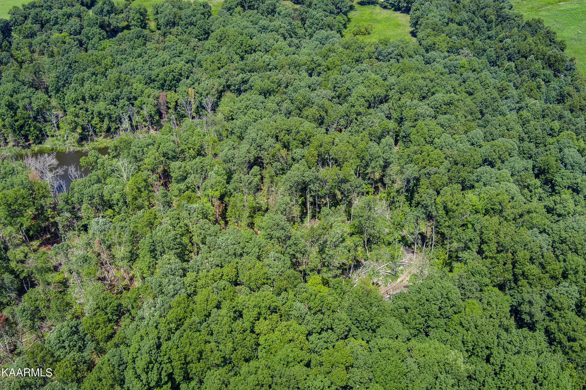 0 Casto Pugh Road Crossville, TN 38571 - Photo 8 of 18 Gallery Image 8