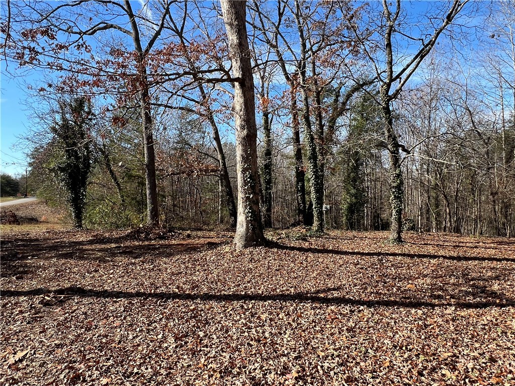 125 B D Johnston Road Central, SC 29630 - Photo 1 of 6 Gallery Image 1