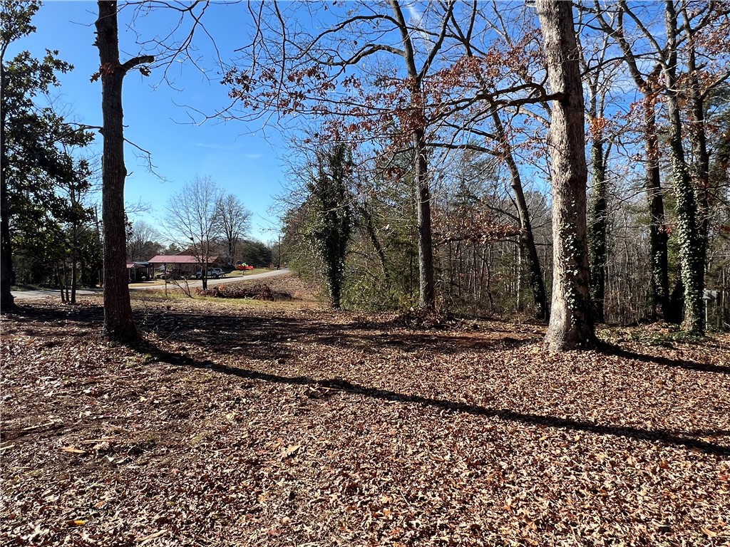 125 B D Johnston Road Central, SC 29630 - Photo 2 of 6 Gallery Image 2