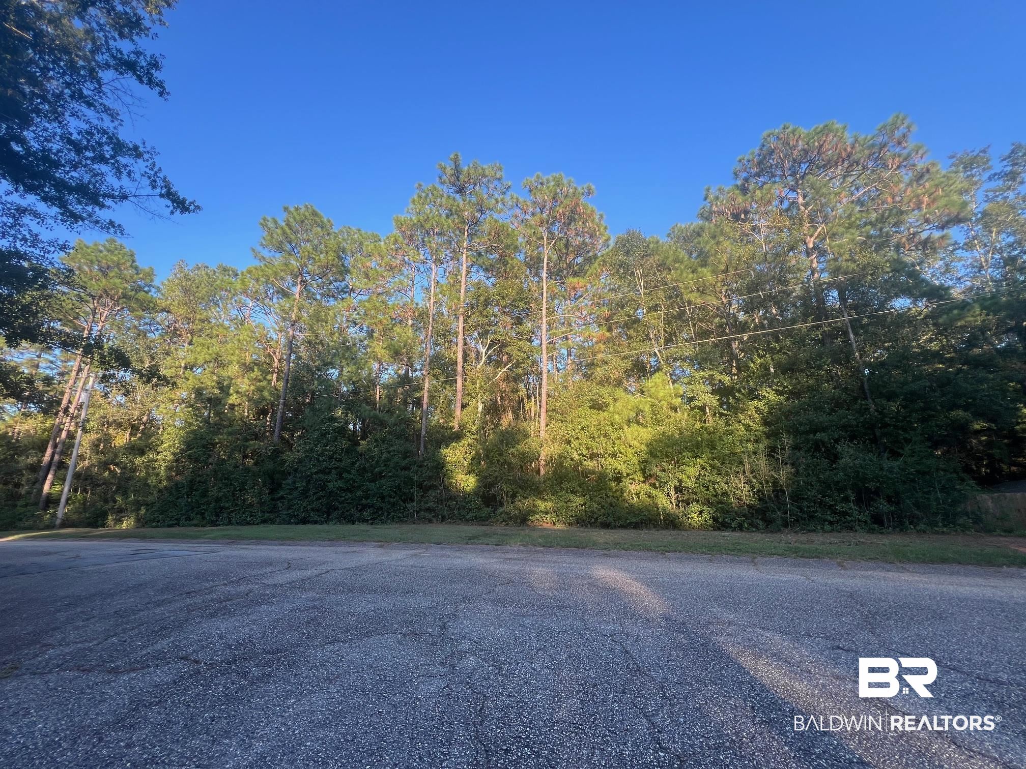 117 Melanie Loop Daphne, AL 36526 - Photo 1 of 6 View of street