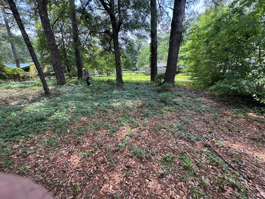 1202 Tacoma Street Dothan, AL 36303 - Photo 28 of 36
