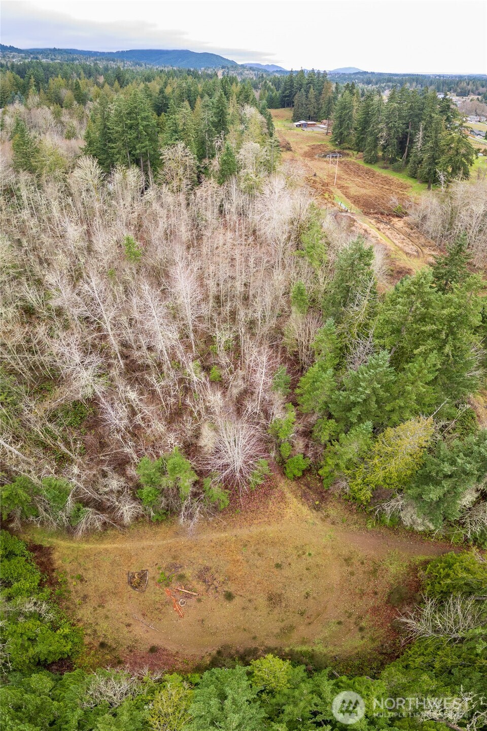 -nka East Scribner Road Port Angeles, WA 98362 - Photo 11 of 33 a view of a yard with a tree