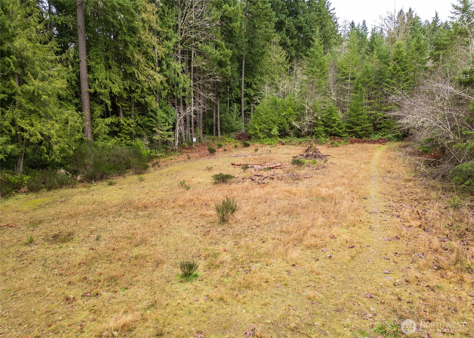 -nka East Scribner Road Port Angeles, WA 98362 - Photo 12 of 33 a view of a yard with trees