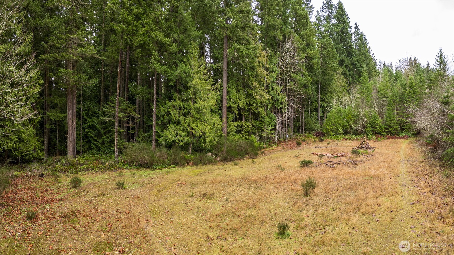 -nka East Scribner Road Port Angeles, WA 98362 - Photo 13 of 33 a view of a yard with trees
