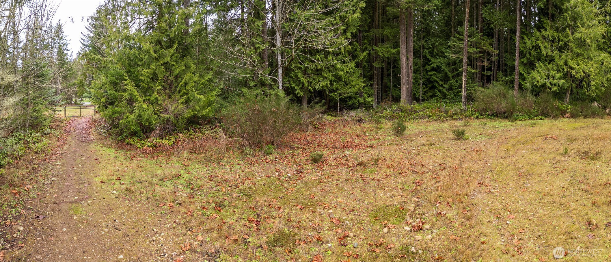-nka East Scribner Road Port Angeles, WA 98362 - Photo 14 of 33 a view of backyard with green space