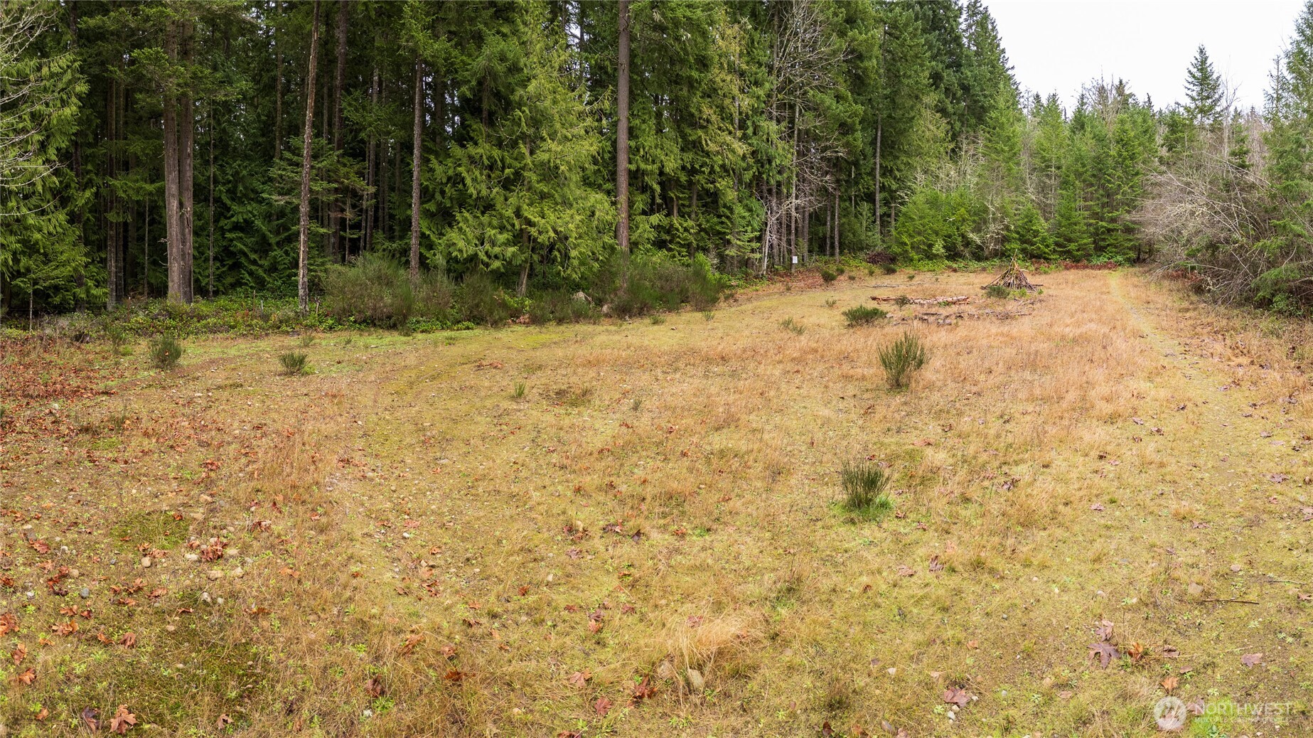 -nka East Scribner Road Port Angeles, WA 98362 - Photo 15 of 33 a view of a yard with trees