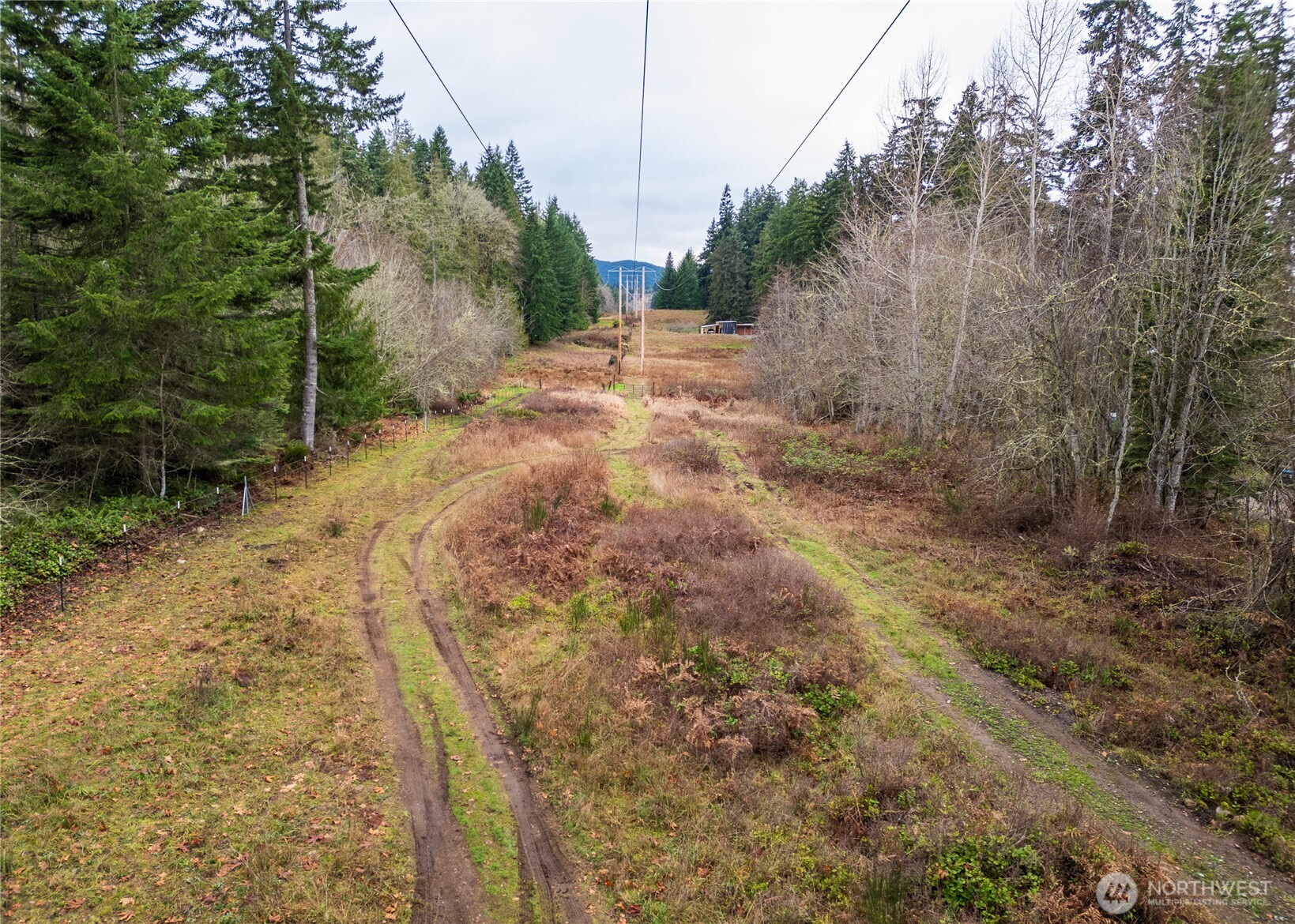 -nka East Scribner Road Port Angeles, WA 98362 - Photo 18 of 33 a view of a yard with plants and trees